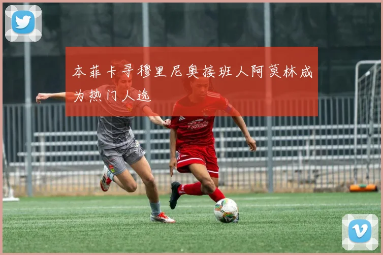 本菲卡寻穆里尼奥接班人阿莫林成为热门人选